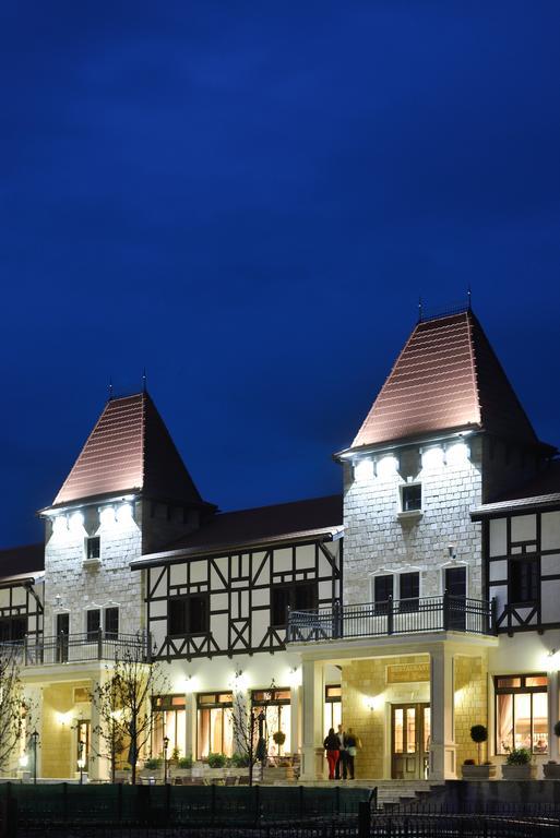 Hotel Castel Royal Mosnita Noua Zewnętrze zdjęcie